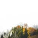 Castle Drakan Shortcut: Navigating the Modern Digital Landscape