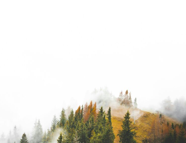 Castle Drakan Shortcut