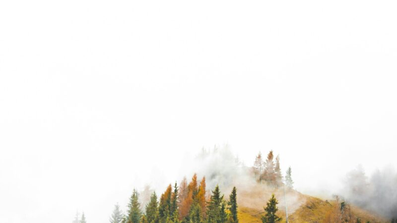 Castle Drakan Shortcut: Navigating the Modern Digital Landscape