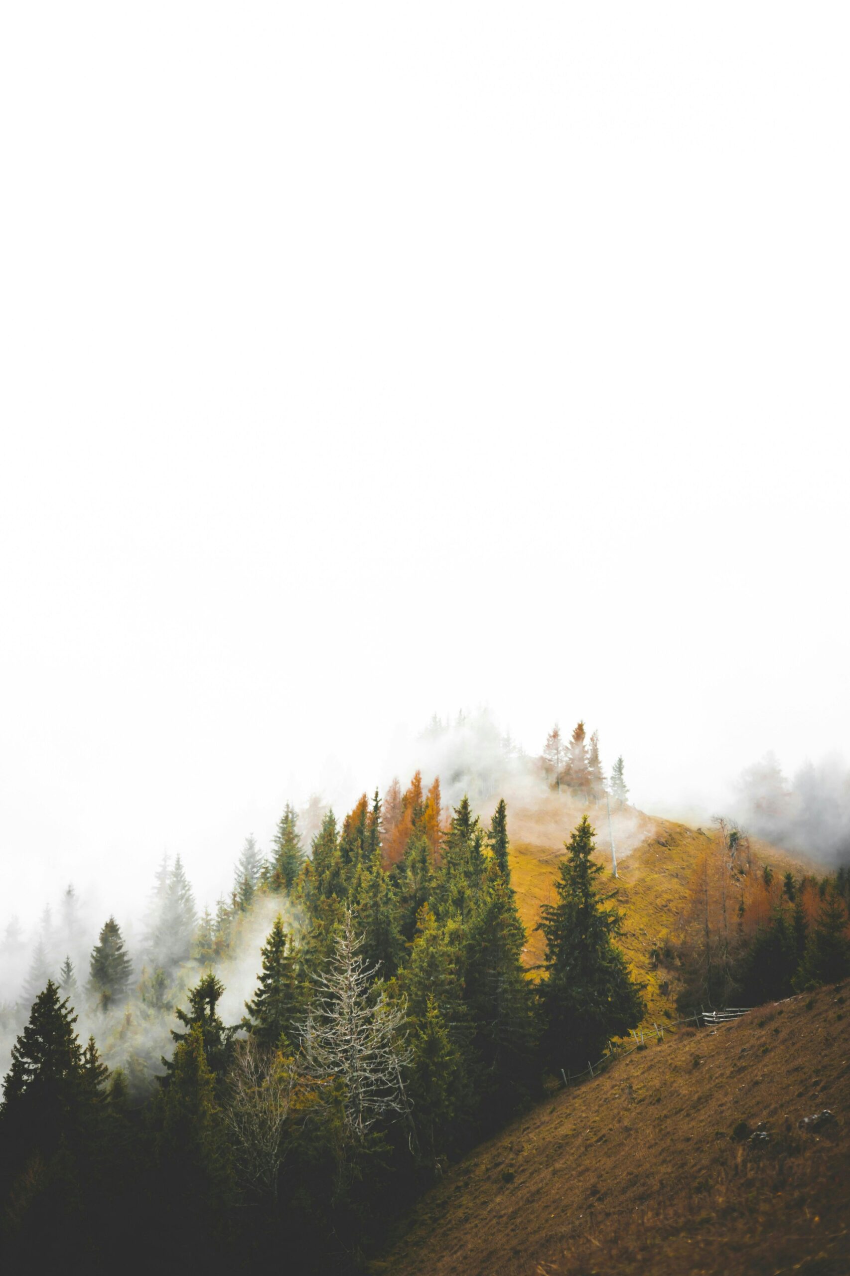 Castle Drakan Shortcut